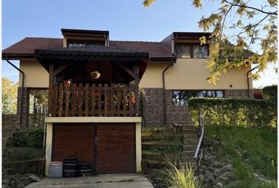 Proprietate unuica la Lugojel - 1