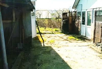 Casă cu 3 camere cu Teren 4302 Mp în Pleșoiu - 1