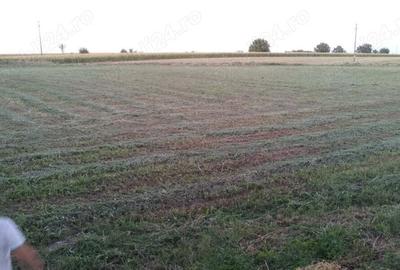 Spațiu comercial, în Cărpiniș - 3