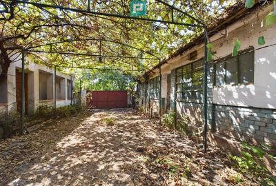 Casa batraneasca in Sustra, Timis - 8