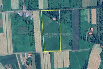 Teren de 16000 mp, în Borlovenii Noi - 8