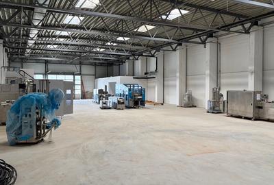 Spațiu industrial, de 35,092 mp, în Valu lui Traian - 5