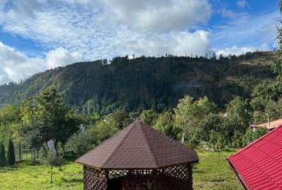 Casă cu 4 camere cu Teren 1700 Mp în Lerești - 20