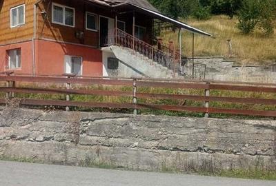 Teren de 10000 mp, în Albac