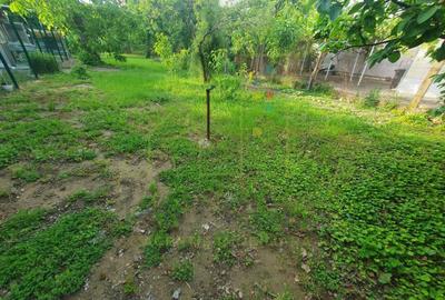 Casă individuală cu 2 camere cu Canalizare în Elisabetin - 8