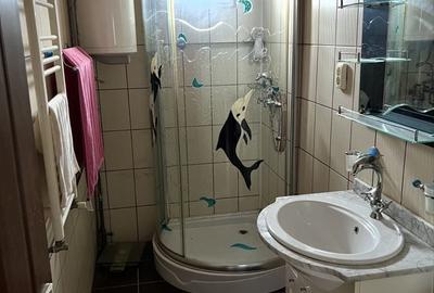 Apartament cu 2 camere decomandat în Topleț - 2
