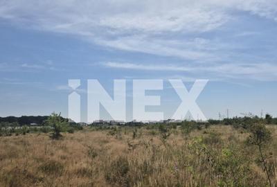 Teren intravilan de vanzare in Trivale - zona Magic | 500 m - 1