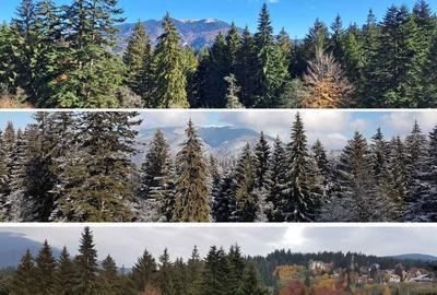 Apartament cu 3 camere decomandat în Central - 1