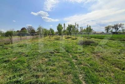 Teren de 1500 mp, în Cionchești - 10