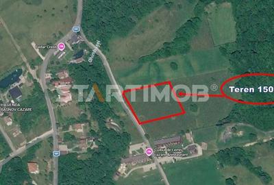 Teren Construcții intravilan de 1504 mp, în Glăjărie - 9