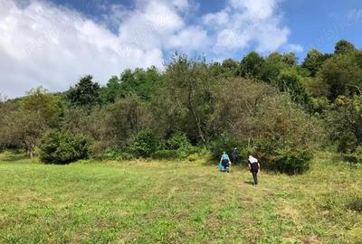 Teren Zona Subcarpatica Stoenesti - 2