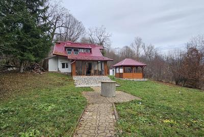 Casă cu 3 camere în Central - 8