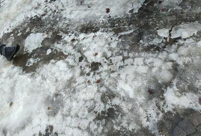 Teren de 835 mp, în Furnica - 4