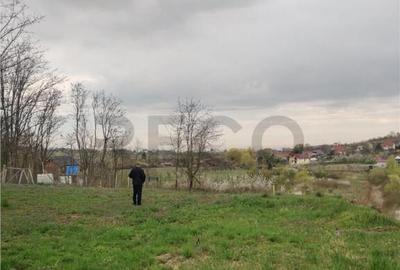 RECO . TEREN INTRAVILAN PALEU - 8