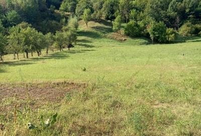 Teren de 2217 mp, în Central - 2