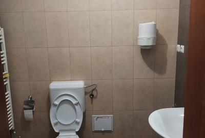 PACHE-PRO TV-DIMITROV-FERDINAND-PARTER VILA,130 MP,GARAJ DUBLU,1200 EURO PACHE-PRO TV-DIMITROV-FERDINAND-PARTER VILA,130 MP,GARAJ DUBLU,1200 EURO - 11