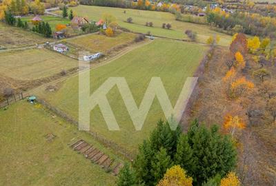 Teren intravilan I Gata de construit I 985 mp I Tohanita - 8