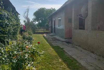 Casă cu 2 camere cu Teren 1900 Mp în Andrid - 3