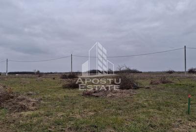 Teren intravilan 500mp Mandruloc - 3