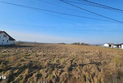 Teren de 5660 mp, în Satulung - 1