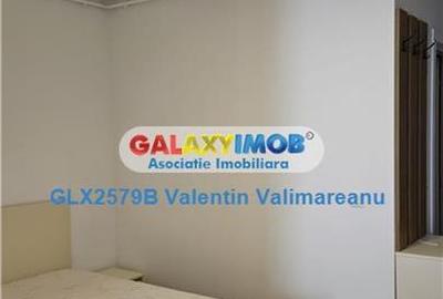 Garsonieră decomandată, mobilată în Theodor Pallady - 3