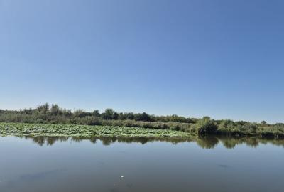 Teren 2500 mp – Izvorani | Deschidere directa la lac - 11