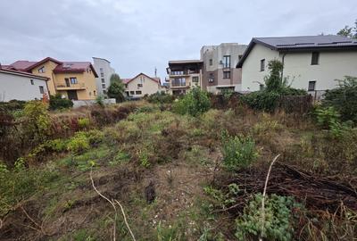 Nicolae Grigorescu, chiar la pasajul peste Splaiul Unirii, in planul 2 - 5