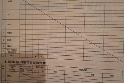 Teren de 45500 mp, în Cogealac - 1