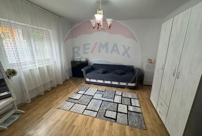 Casa  de vanzare -Orbic-Buhusi - 13