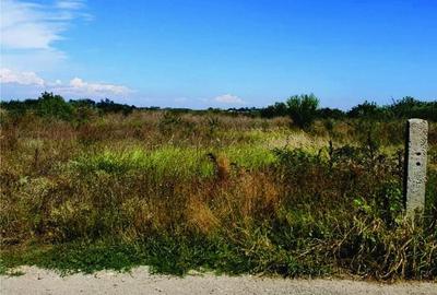 TEREN LA LAC - direct de la proprietar - 2700 mp - SAMURCAȘI- CREVEDIA - 5