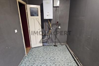 Satiu comercial pregatit pentru Pizzerie delivery in Dambu Rotund - 7