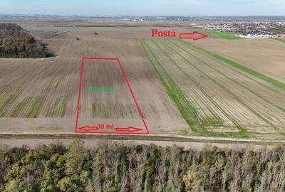 CERNICA-POSTA, LOT 8956 MP, LA PADURE! - 1