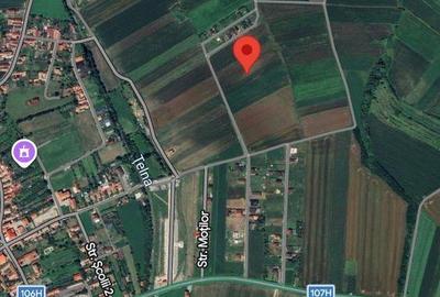 Teren de 5800 mp, în Central