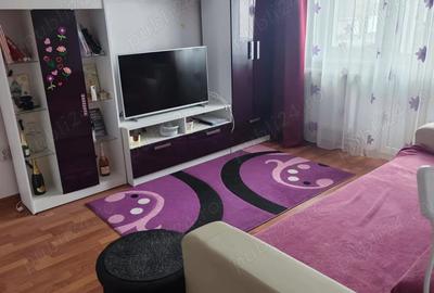 Apartament cu 2 camere semidecomandat în Viziru 3 - 10