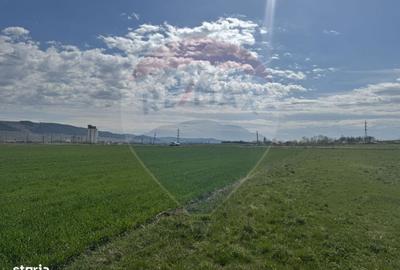 Spațiu comercial, în Fundătura - 13