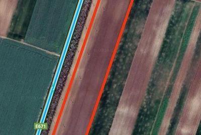 Teren de 35000 mp, în Șimand - 1