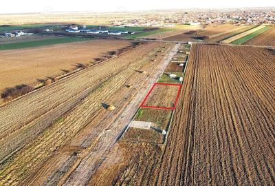 Teren intravilan 743 mp la intrarea in Odoreu - 3