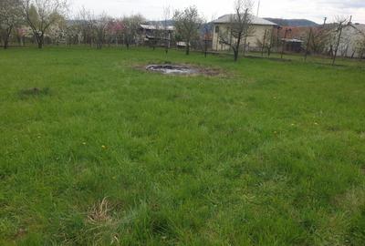 Cornu de Sus, vanzare teren intravilan 2900/26 - 7