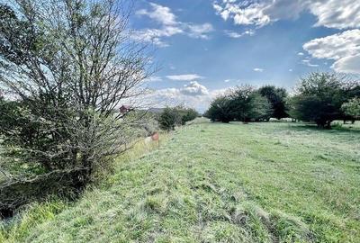 Teren Extravilan - 1