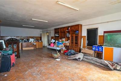 FILM! Complex agrozootehnic cu traditie, echipat,pretios potential multiplu, Bra - 42