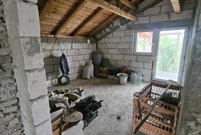 Snagov, Ciofliceni - 6