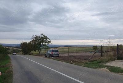 Teren de 4500 mp, în Crâng - 4