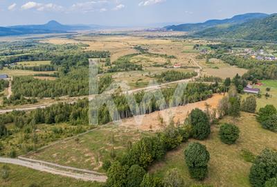 COMISION 0 %!!!!Teren cu priveliste remarcabila asupra orasului Rasnov - 18