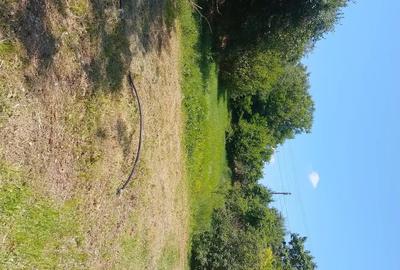 Casă cu 3 camere cu Teren 2000 Mp în Brănișca - 2