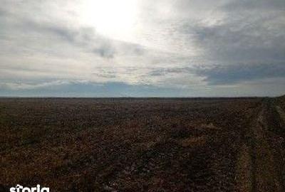 Teren de 5000 mp, în Lunca - 8
