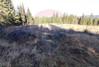 Teren agricol extravilan de 16289 mp, în Coverca - 9