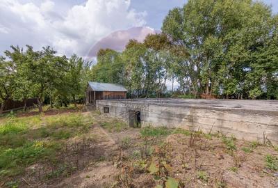 Teren intravilan cu funda?ie, proiect de casa, Avram Ian... - 6