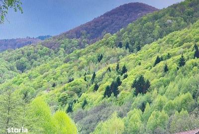 Casă cu 10 camere cu Teren 1000 Mp în Cerbăl - 9