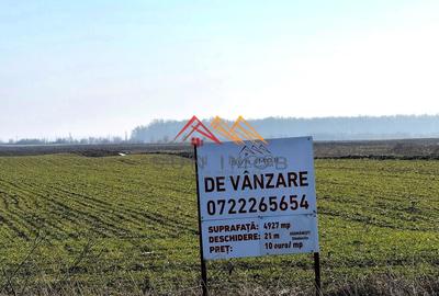 Teren Construcții intravilan de 4927 mp, în Dărmănești - 4