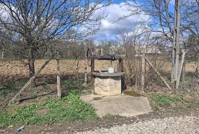 Teren de 2800 mp, în Horodnic - 1